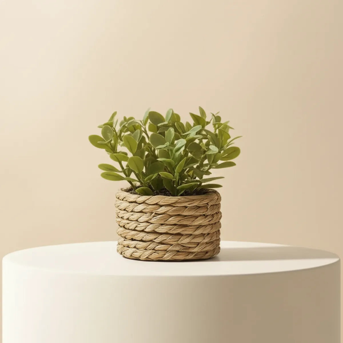 vaso-decorativo-para-mesa-planta-artificial-tecido-a-mao-modernize-foto-vaso-sobre-plataforma-em-ambiente-bege-claro-arejado