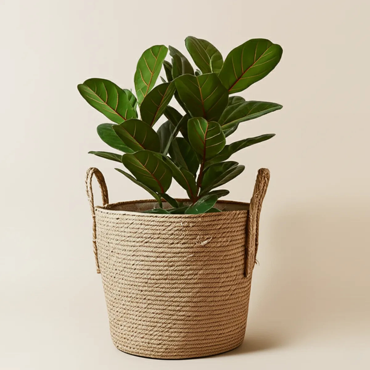 vaso-decorativo-para-sala-de-palha-artesanal-modernize-foto-vaso-com-planta-em-fundo-bege-ambiente-claro